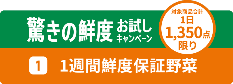 グリーンビーンズの驚きの鮮度お試しキャンペーン 1週間鮮度保証野菜