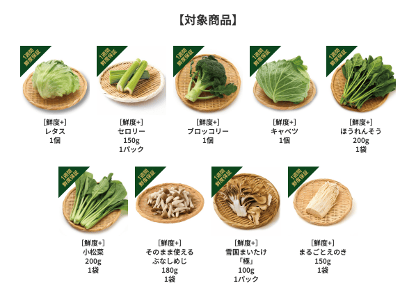 グリーンビーンズの驚きの鮮度お試しキャンペーン 1週間鮮度保証野菜の対象商品