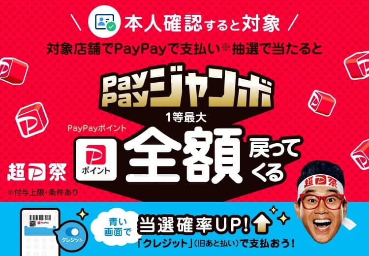 アクティビティジャパンでPayPay支払いすると、全額戻ってくる