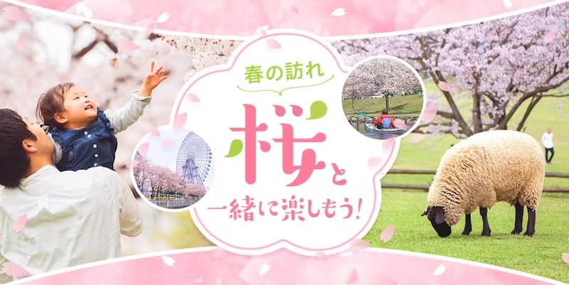アソビュー! 春の訪れ ♪ 桜と一緒に楽しもう!