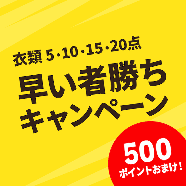 リナビスの早い者勝ち500ポイントおまけキャンペーン