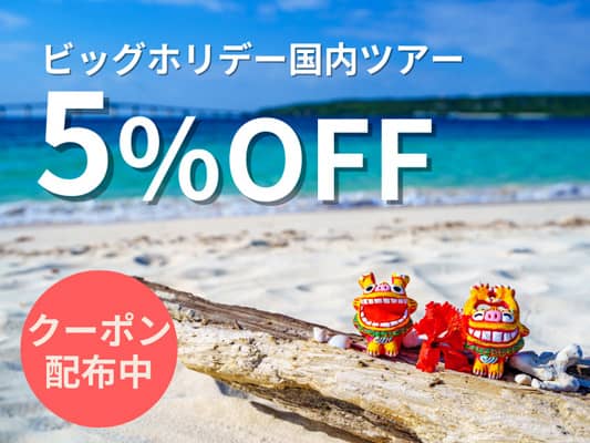 イオンマークのカード優待特典!ビッグホリデーツアー5%割引クーポンコード