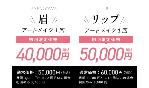 easy brows(イージーブロー)の初回限定価格
