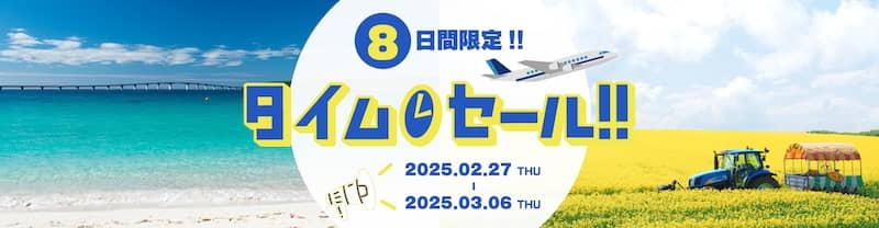 ビッグホリデー 8日間限定のANAタイムセール