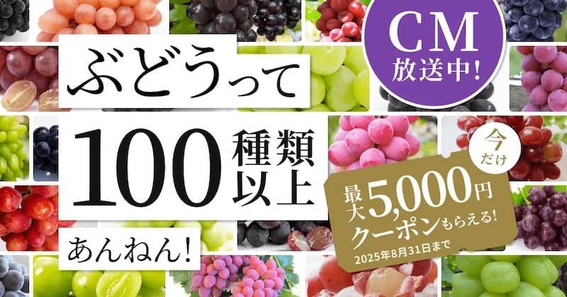 ぶどうって100種類以上あんねん!食べチョクで最大5,000円分クーポンもらえる